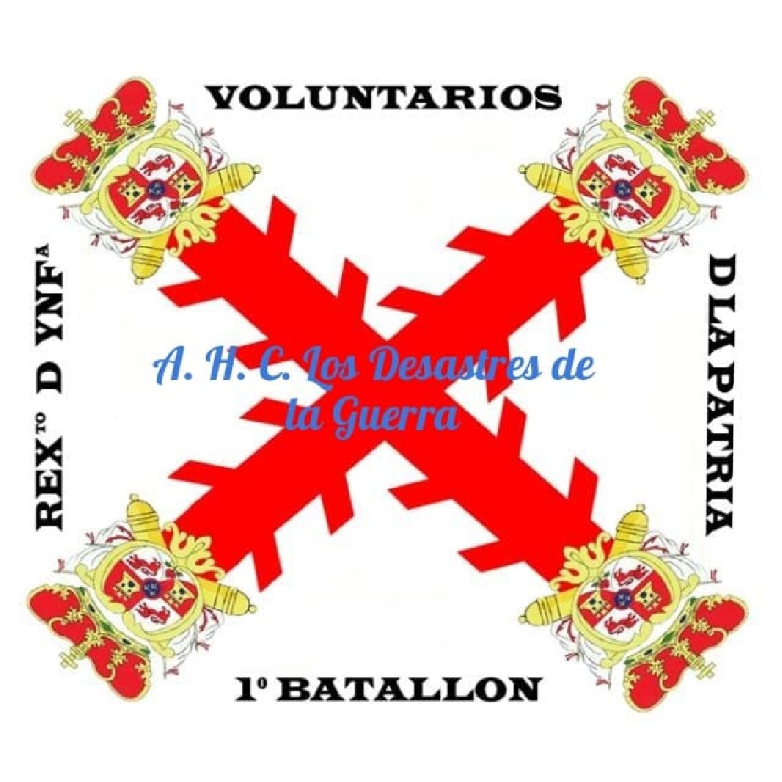 voluntarios madrid